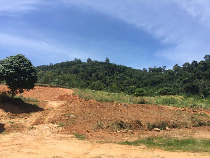 Nai Harn Land for Sale 6 Rai